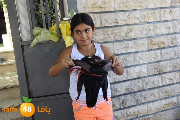 dabe7 ludj31 (53).JPG